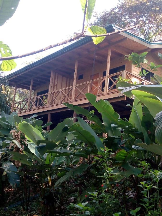 Forest Lodge 우비타 외부 사진